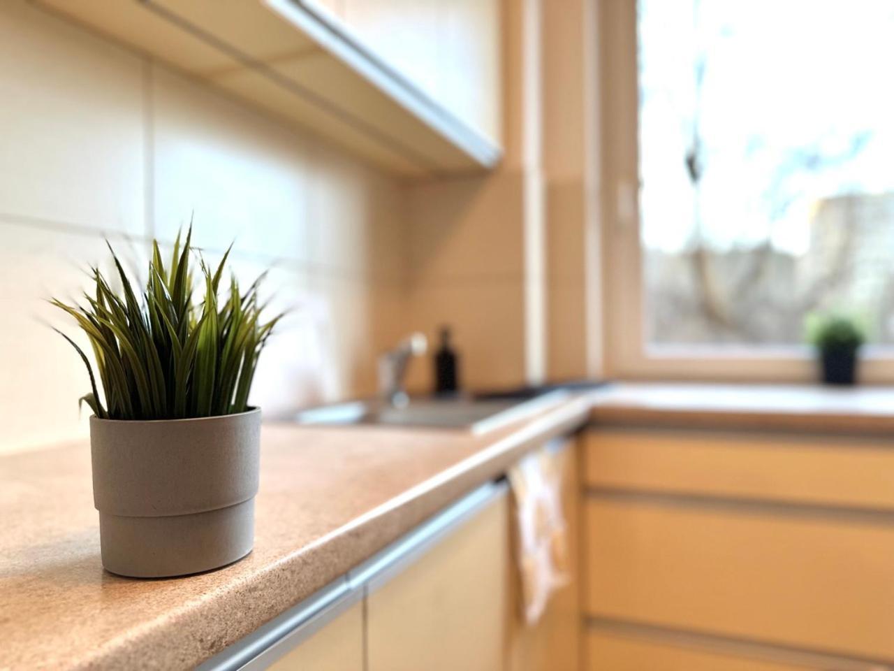 Mmrent Przytulny Apartament W Sopocie Sopot Esterno foto